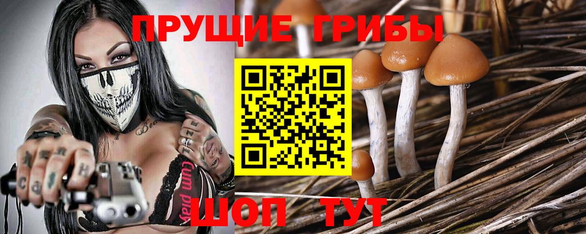 Псилоцибиновые грибы прущие грибы Шарыпово